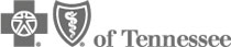 Blue Cross Blue Shield of TN